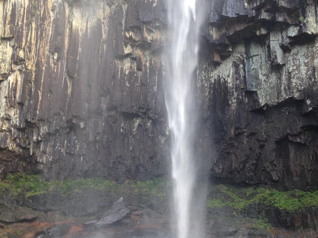 Minyon Falls景点图片