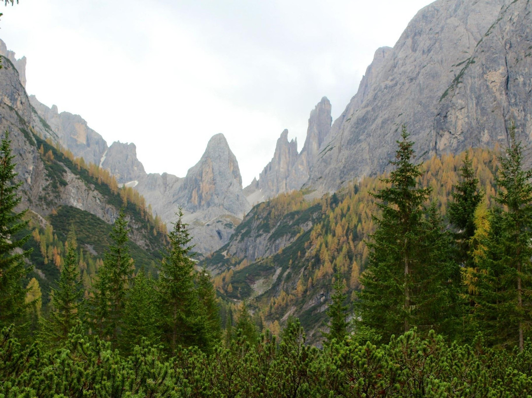 Val Fiscalina景点图片