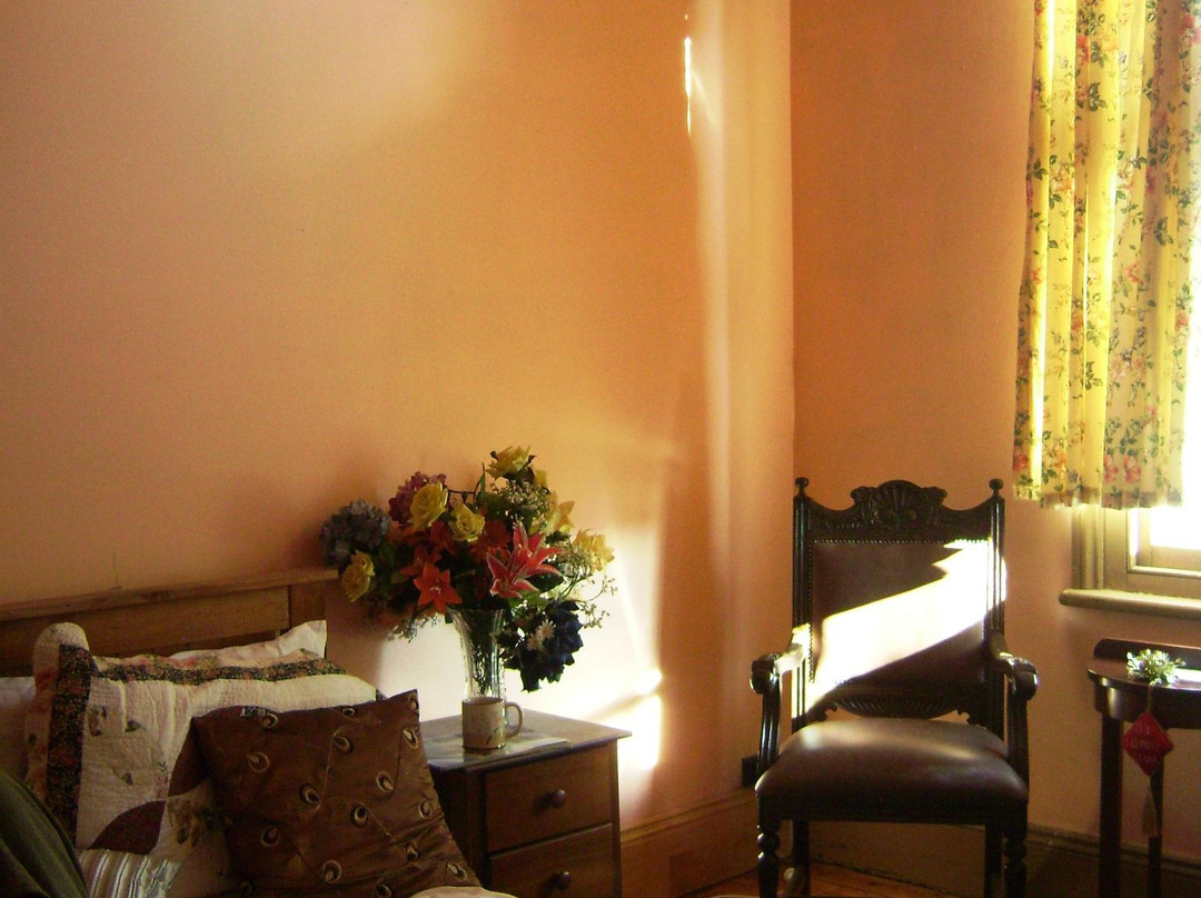 Harcourt North酒店住宿-Globe Guesthouse