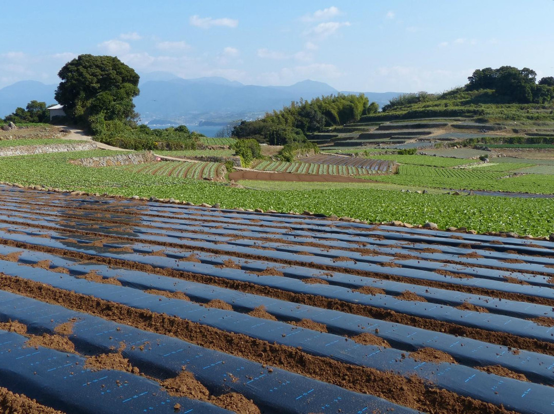 Kunisaki Peninsula Nature Park-云仙市必去景点