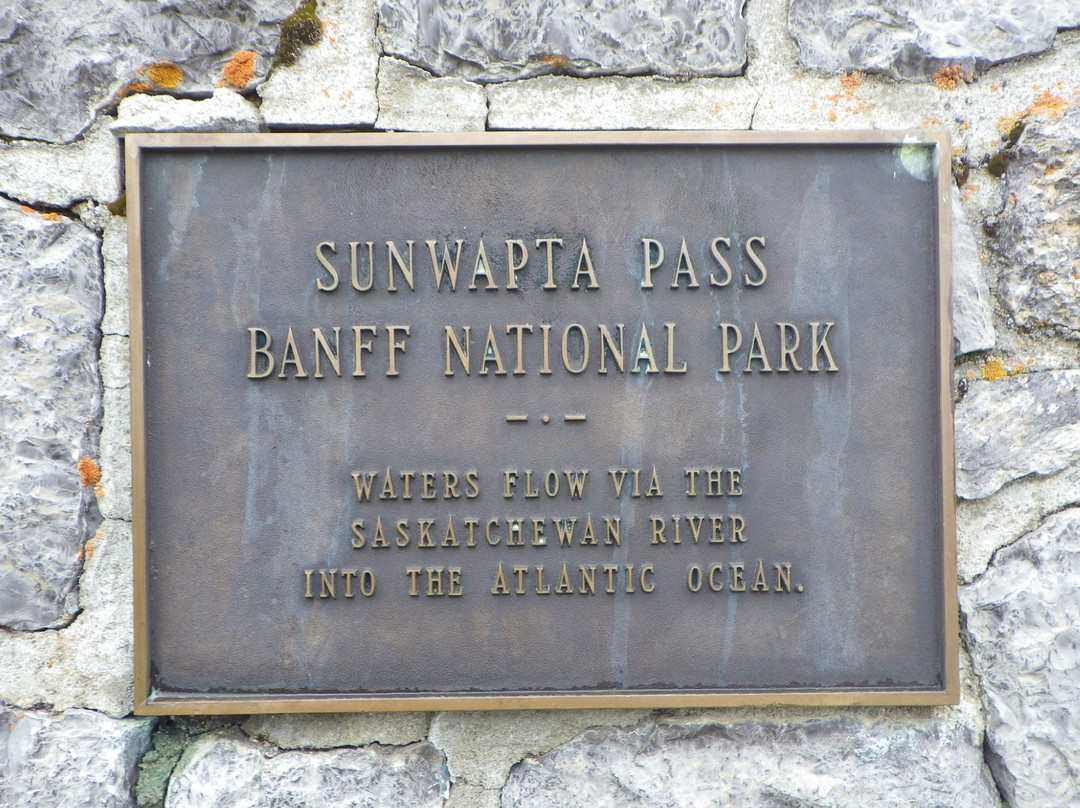 Sunwapta Pass-艾伯塔必去景点