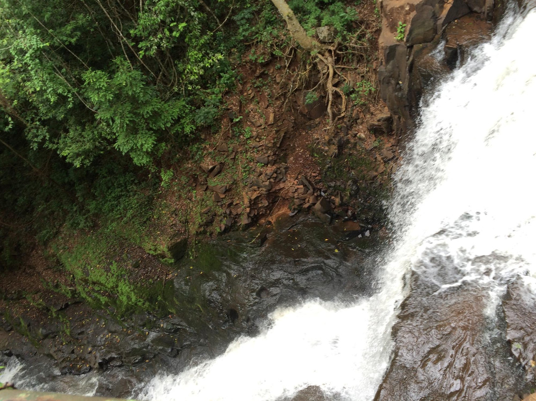 Parque Arthur Thomas-Londrina必去景点