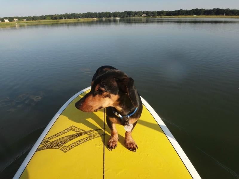 Higher Ground Outfitters-博福特必去景点