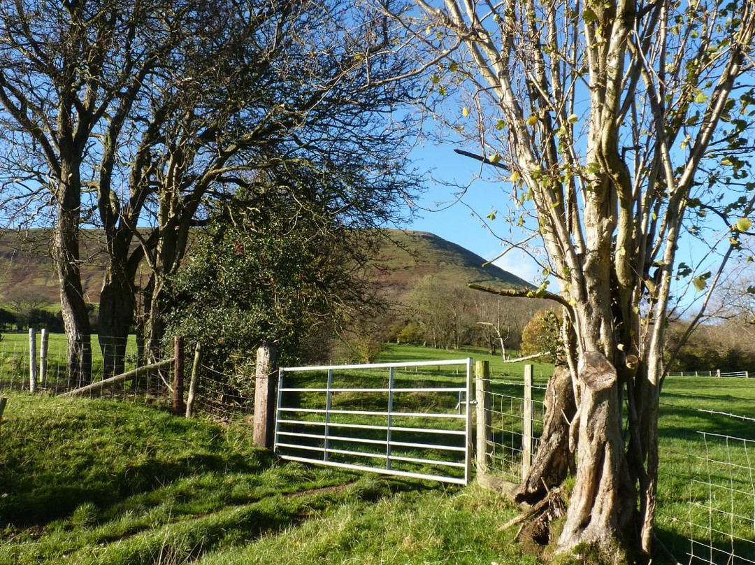 White Haywood Farm B&B主图