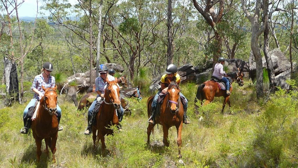 Tamborine Mountain Trail Rides景点图片