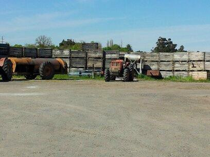 Lemnos旅游景点-Chocolate Apple Factory