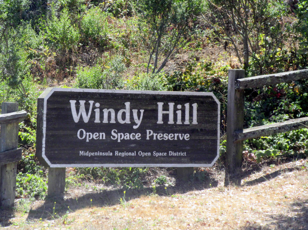 Windy Hill Open Space Preserve-洛思阿图斯必去景点