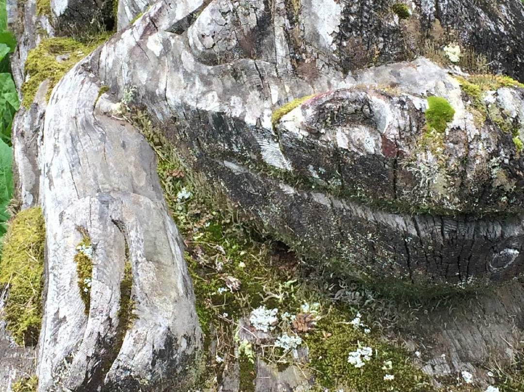 Alaska Indian Arts in Haines-海恩斯必去景点