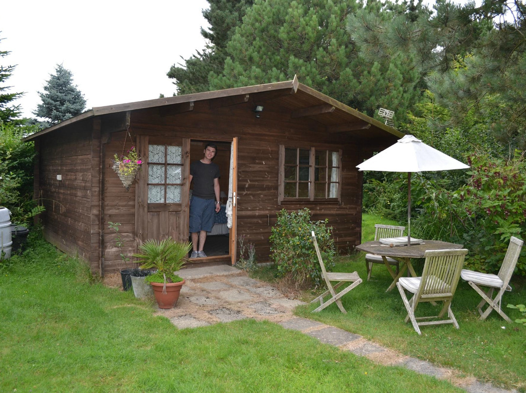 Milford on Sea酒店住宿-The Spinney New Forest