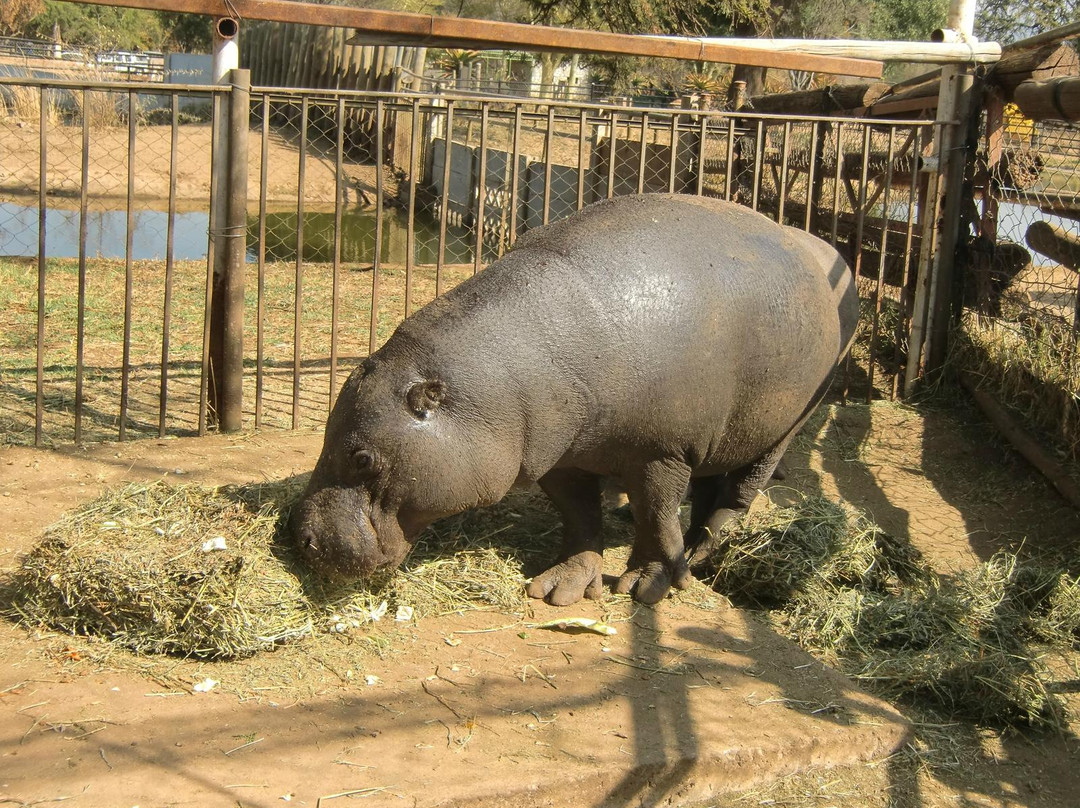 Mokopane Biodiversity Conservation Centre-Mokopane必去景点
