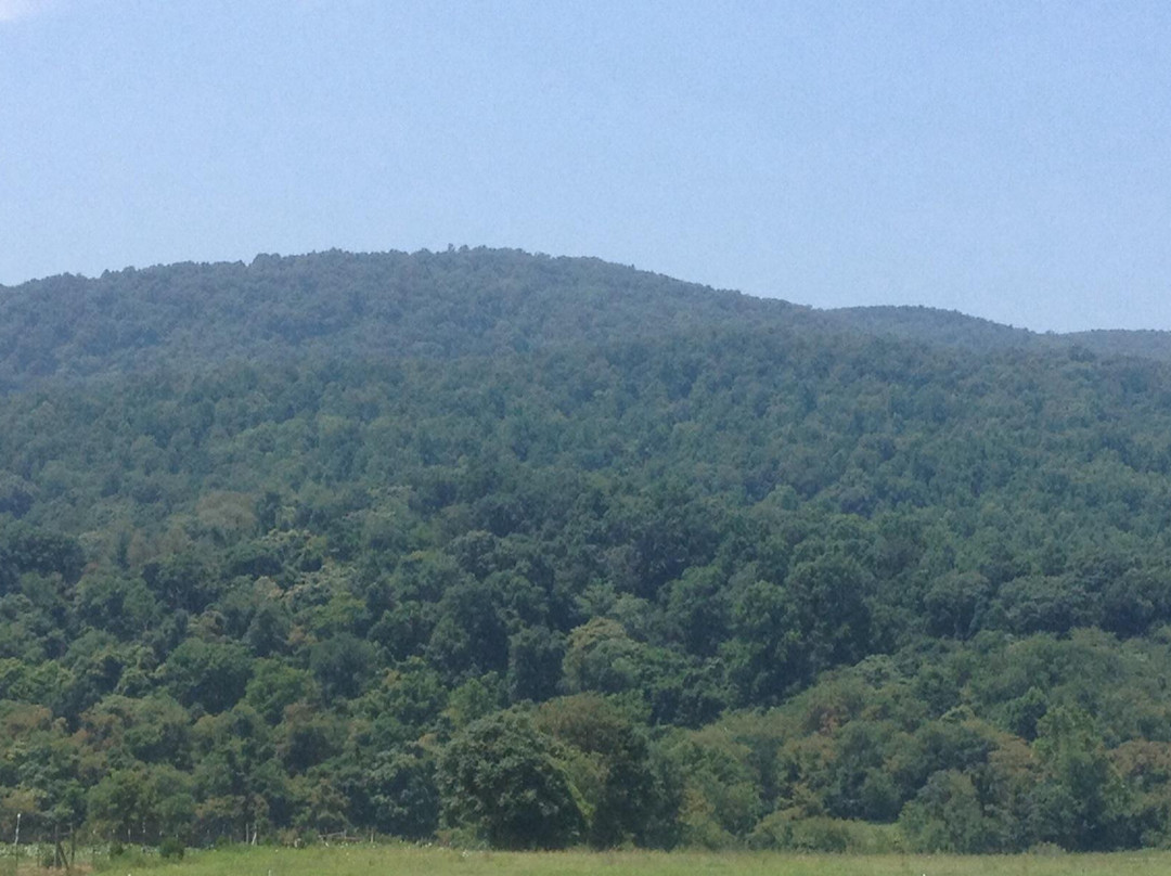 Chiles Peach Orchard-Crozet必去景点