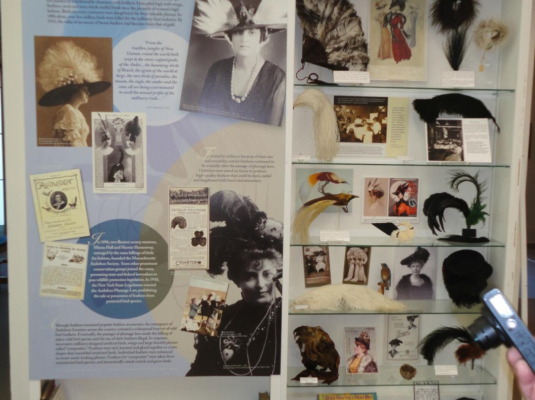 The Cazenovia Public Library-Cazenovia必去景点