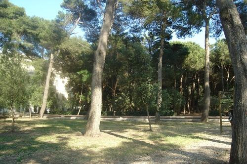 Parco Comunale Cesare Braico景点图片