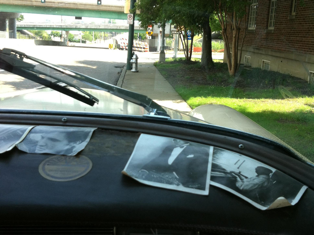 American Dream Safari-孟菲斯必去景点