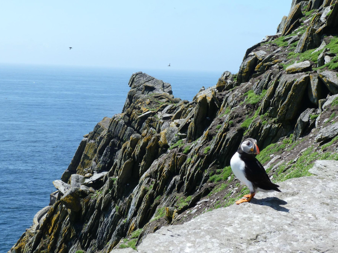 Skellig Tours