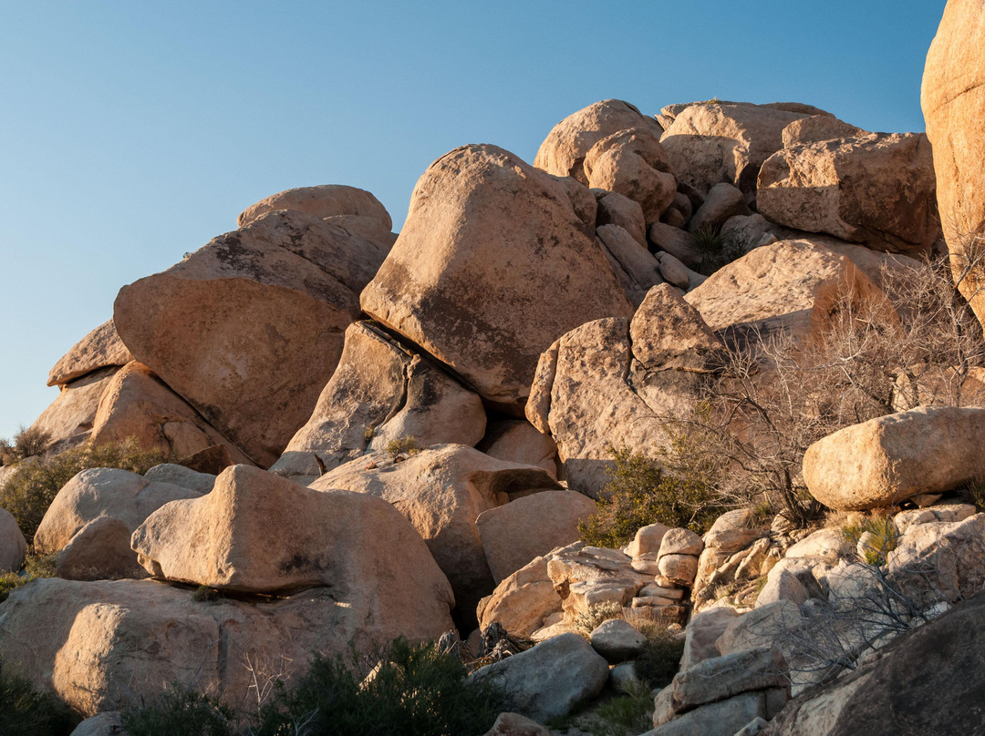 Wonderland of Rocks-约书亚树国家公园必去景点