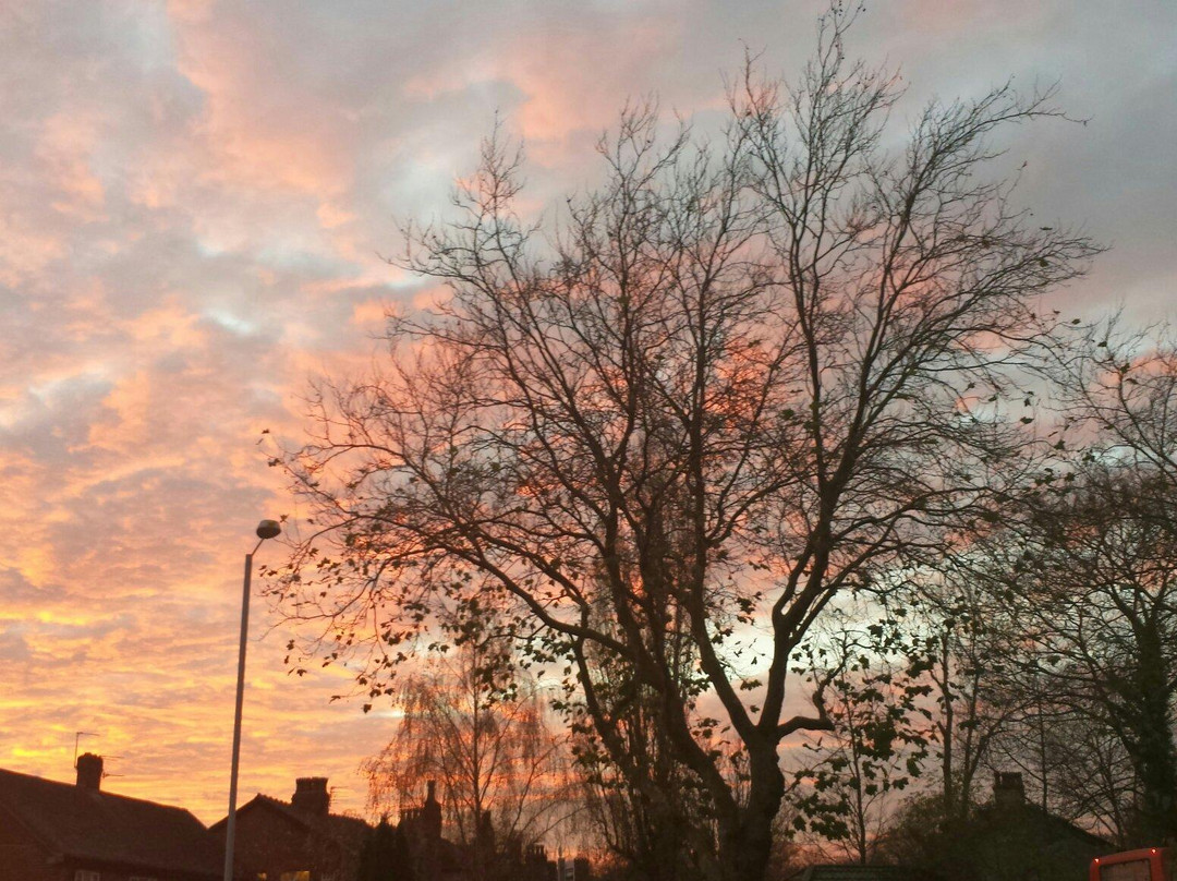 Chorlton Park-曼彻斯特必去景点