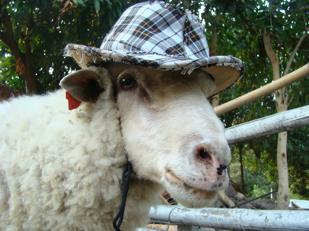 Baanrai Farmstay景点图片