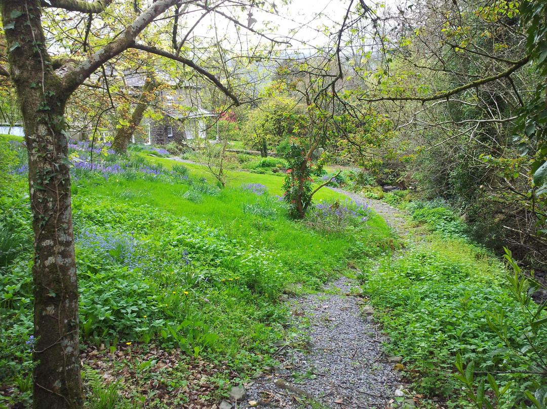 Abercelyn Country House主图