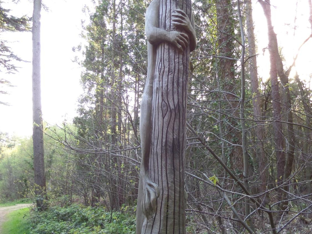 Parkhurst Forest-纽波特必去景点