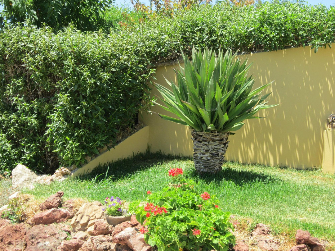 Cantinho da Ria Formosa主图