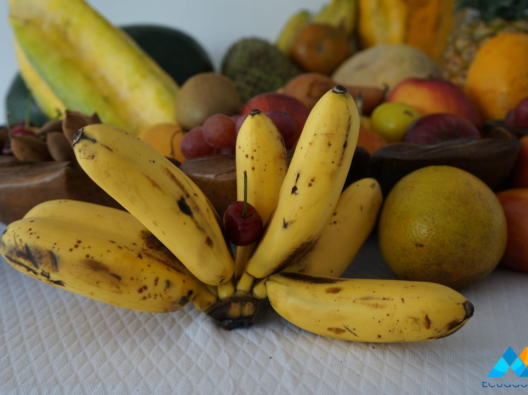 Mountain Views Inn主图