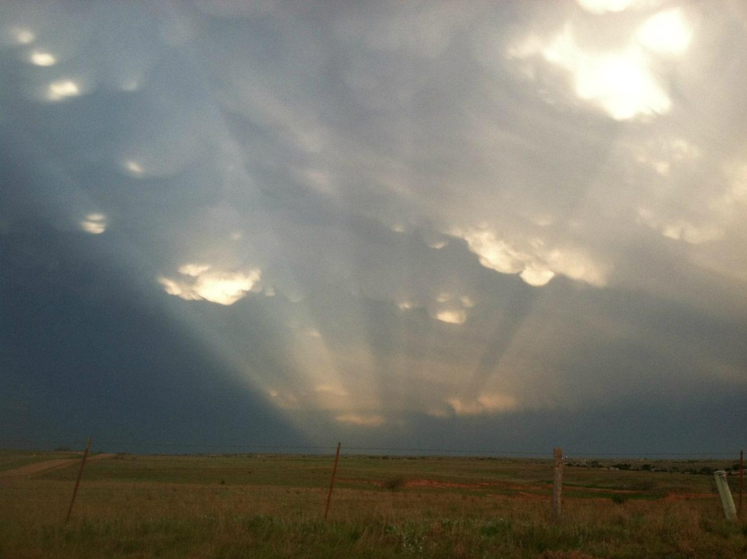 The Crest Motel主图