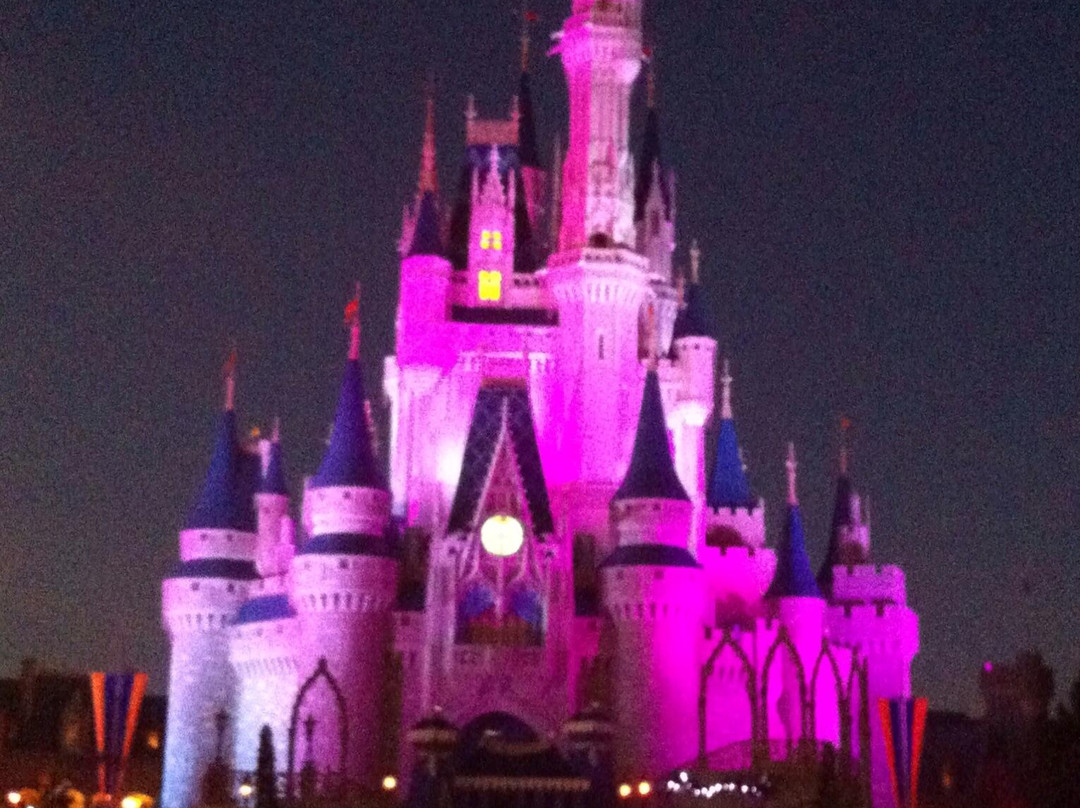 神奇王国-Bay Lake必去景点