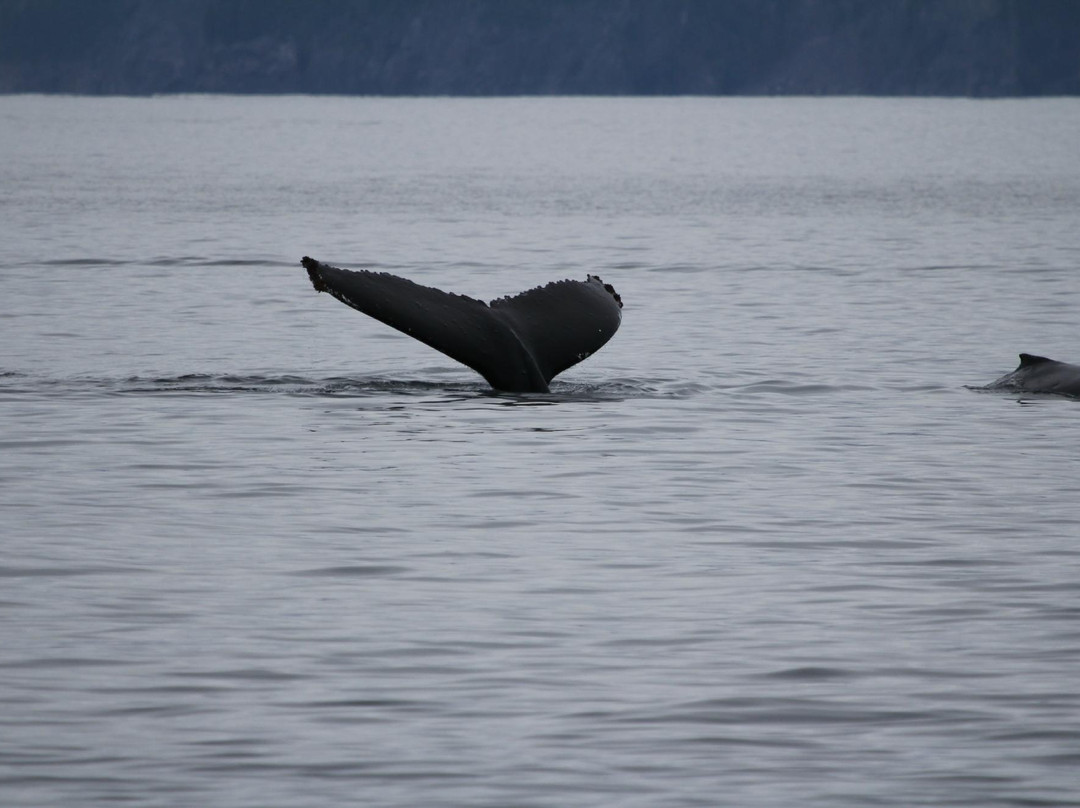 基奈峡湾巡航之旅-苏厄德必去景点