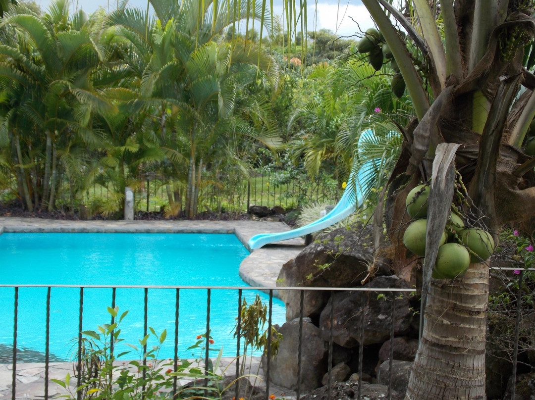 Tropical Bed & Breakfast