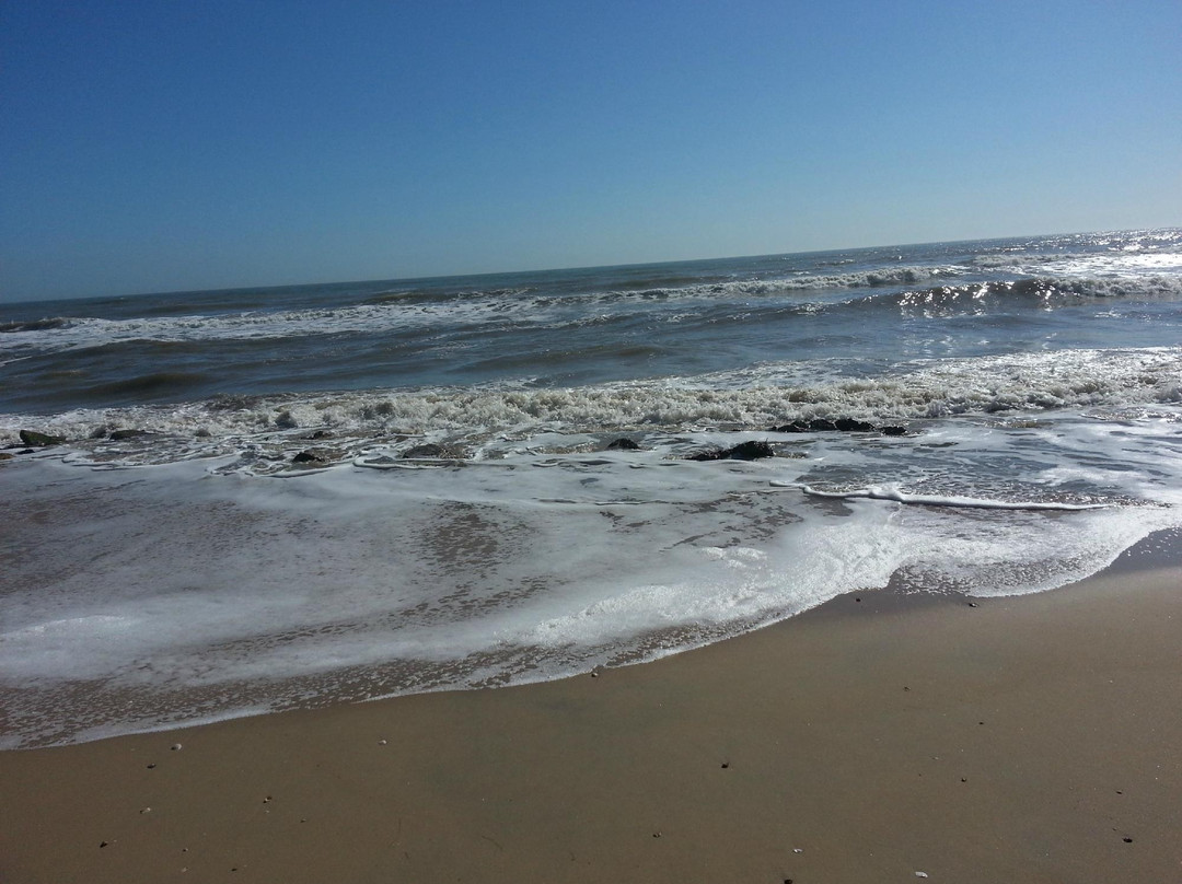Austin's Landing RV Park & Resort