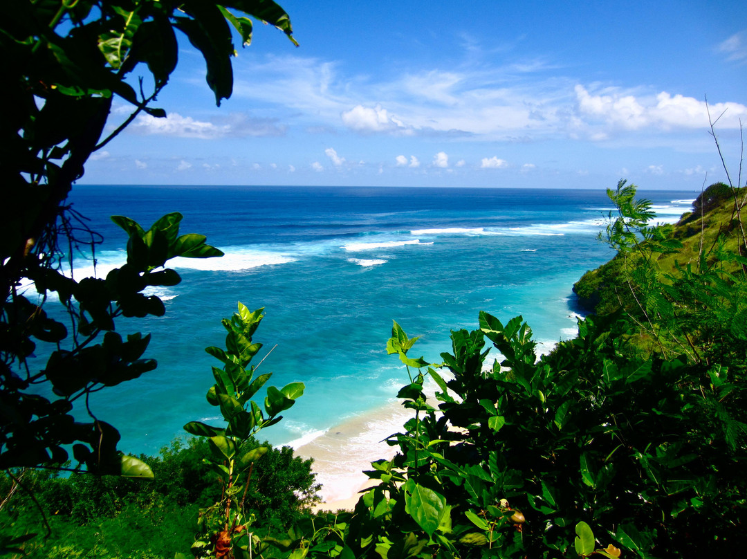 In Bali Tour - Private Tours-登巴萨必去景点