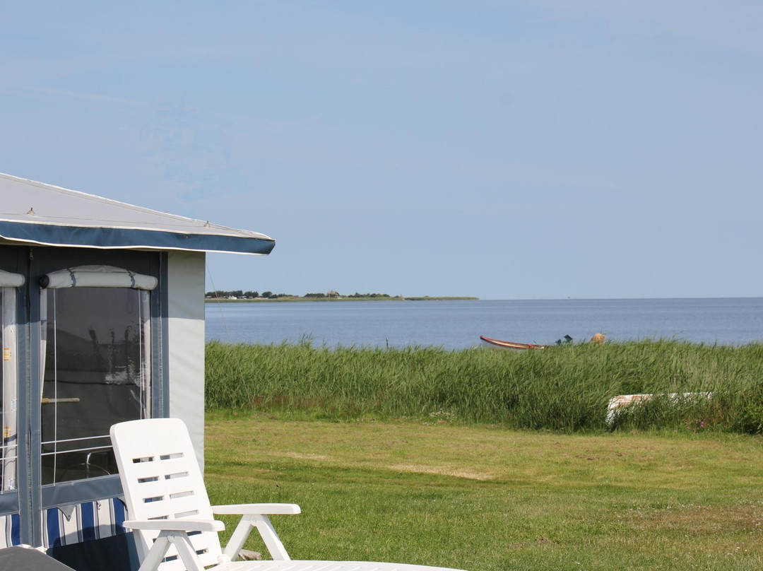 Bjerregaard Camping