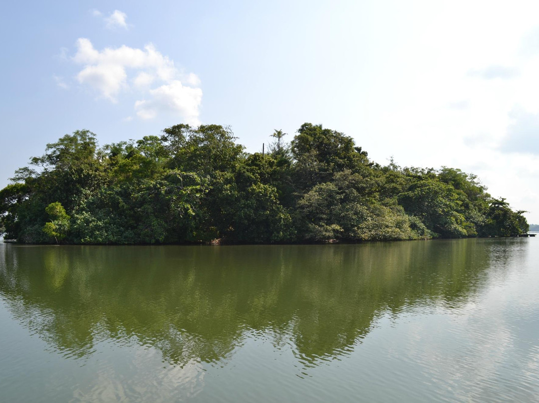 Lagoon Herbal Garden景点图片