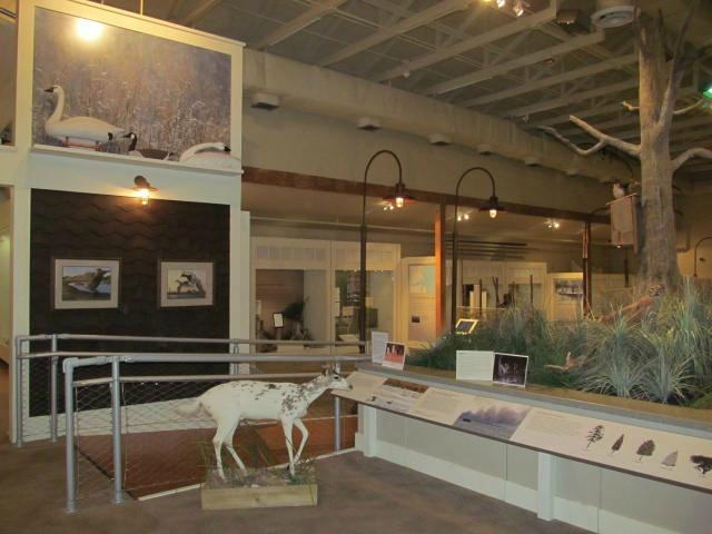 Outer Banks Center For Wildlife Education-卡罗拉必去景点