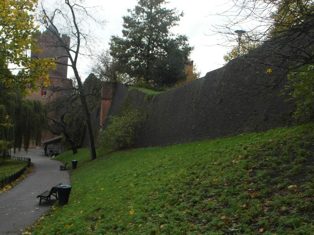 Kronenburgerpark景点图片
