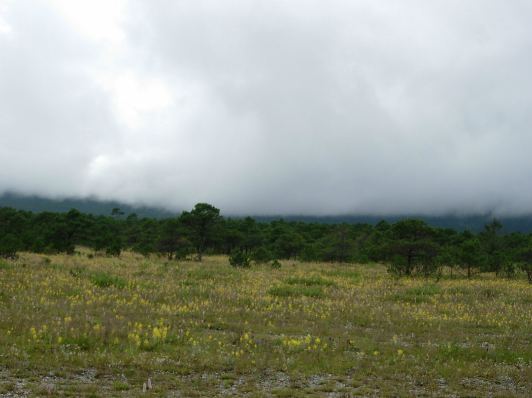 甘海子牧场-玉龙纳西族自治县必去景点