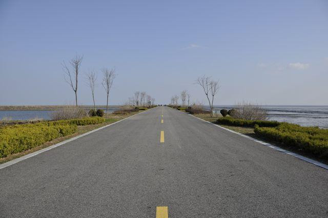 丹东鸭绿江口湿地-东港市必去景点
