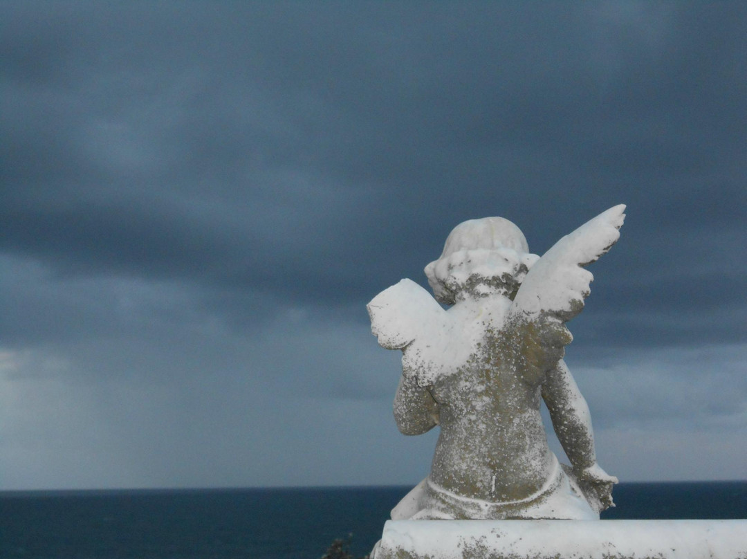 Dingo Tours-兰德威克必去景点
