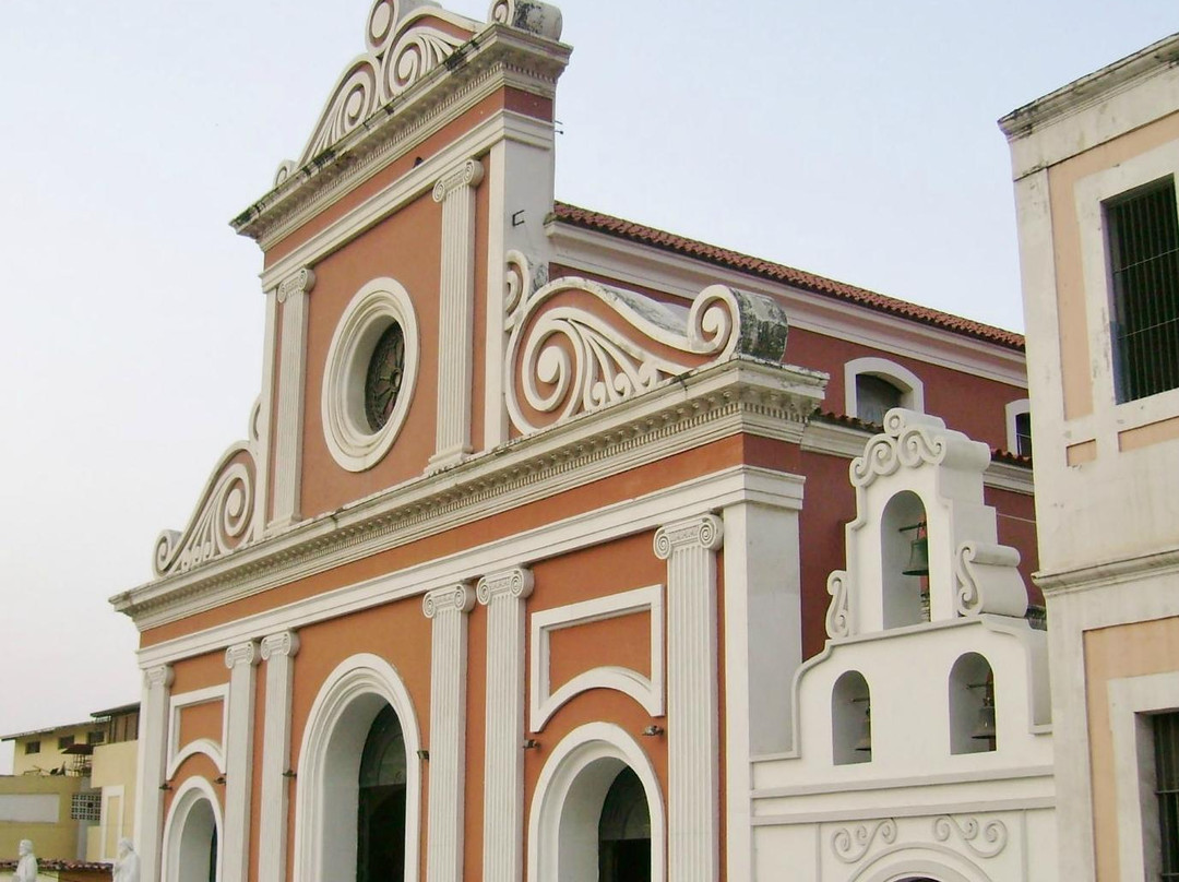 Catedral San Pedro Apostol景点图片