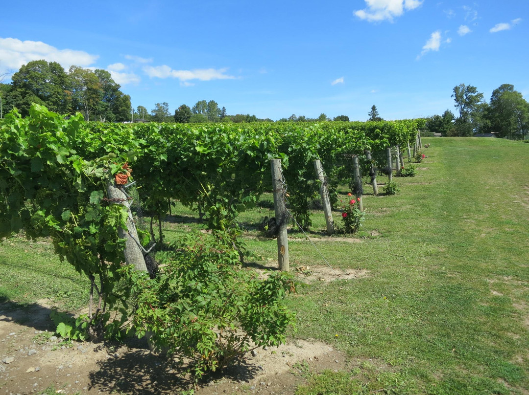 Waupoos Estates Winery景点图片
