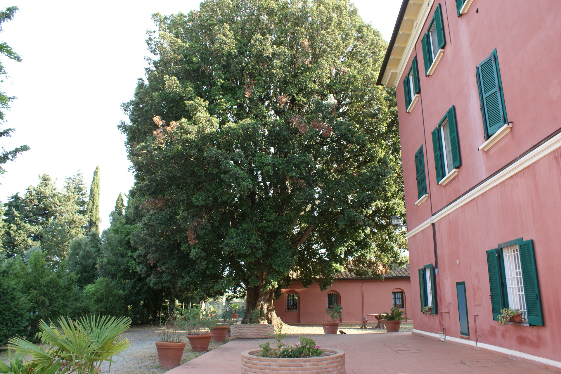 Fattoria di Collemezzano-客卧
