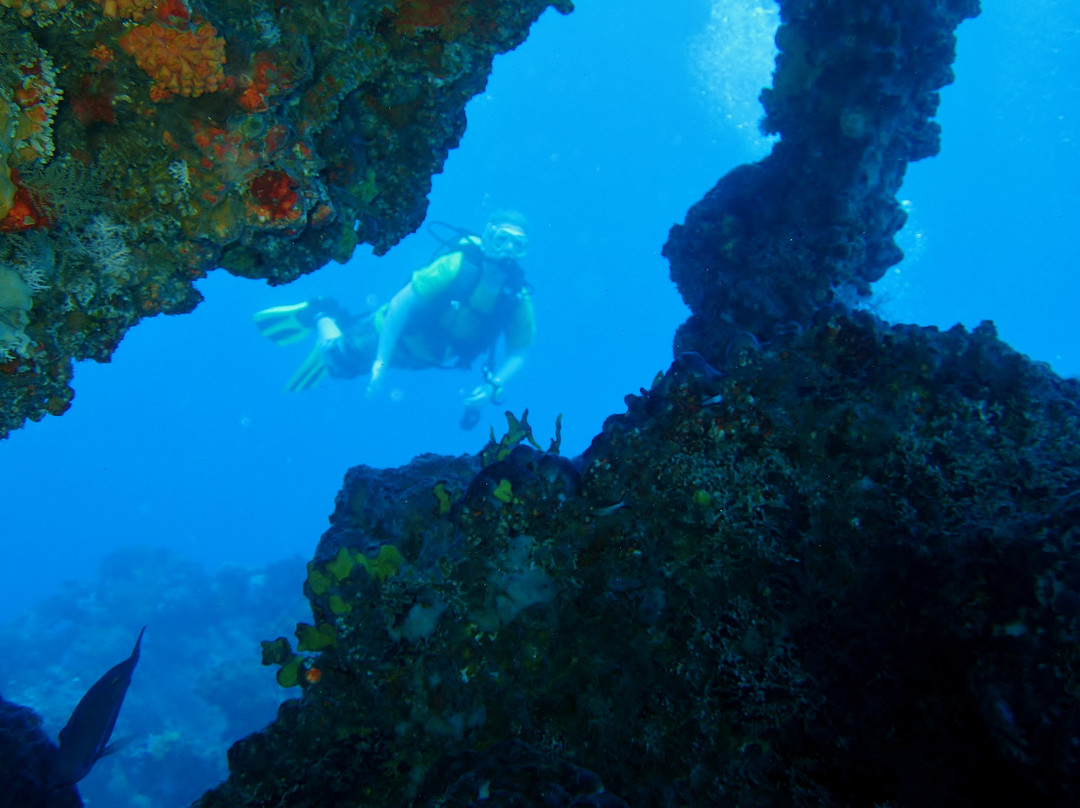 Shark's Friends Diving Center-Playa Santa Lucia必去景点
