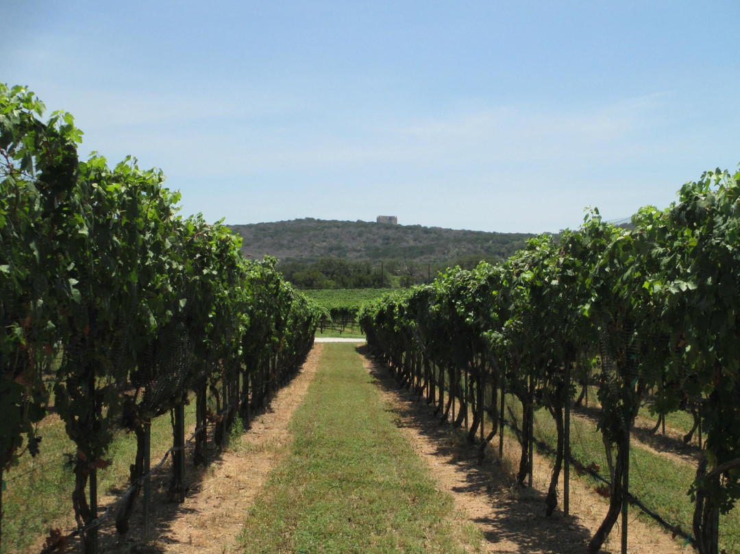Perissos Vineyards-Burnet必去景点