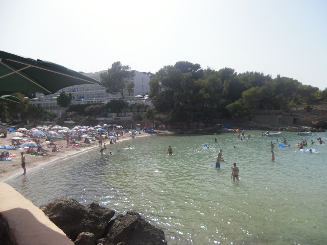 Playa S'Arenal Petit景点图片
