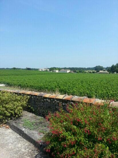 Chateau Castera-Saint-Germain-d'Esteuil必去景点