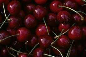 The Cherry Orchard B&B主图