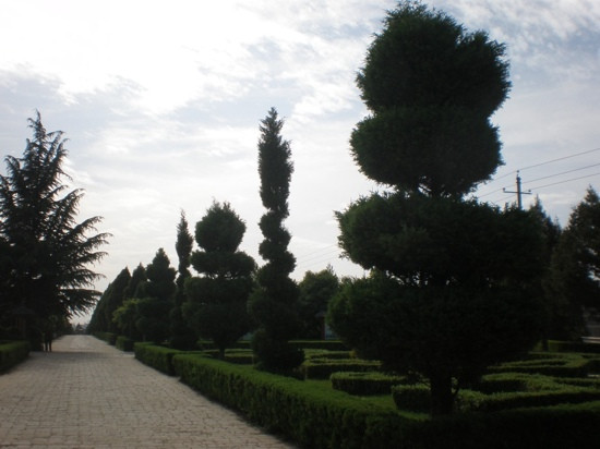 西安秦东陵-西安市必去景点