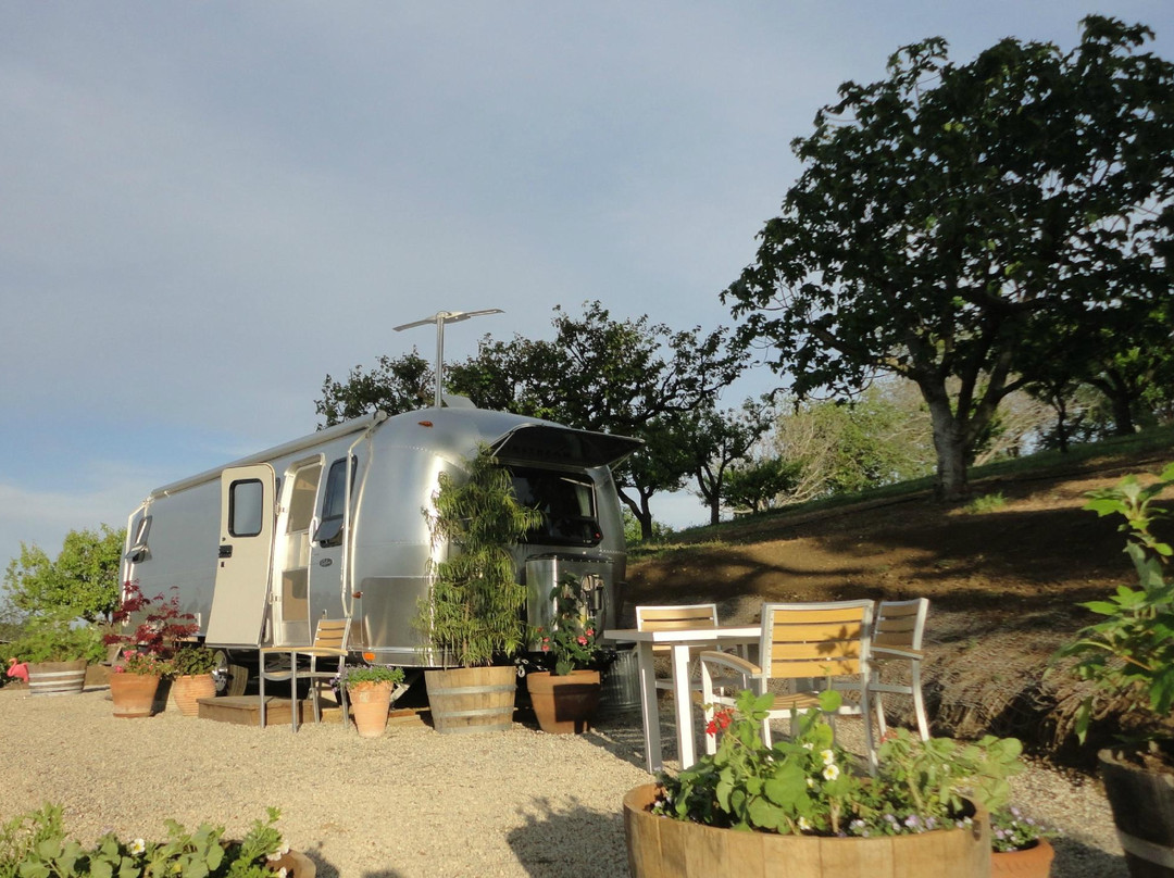Starr Ranch Vineyard & Winery景点图片