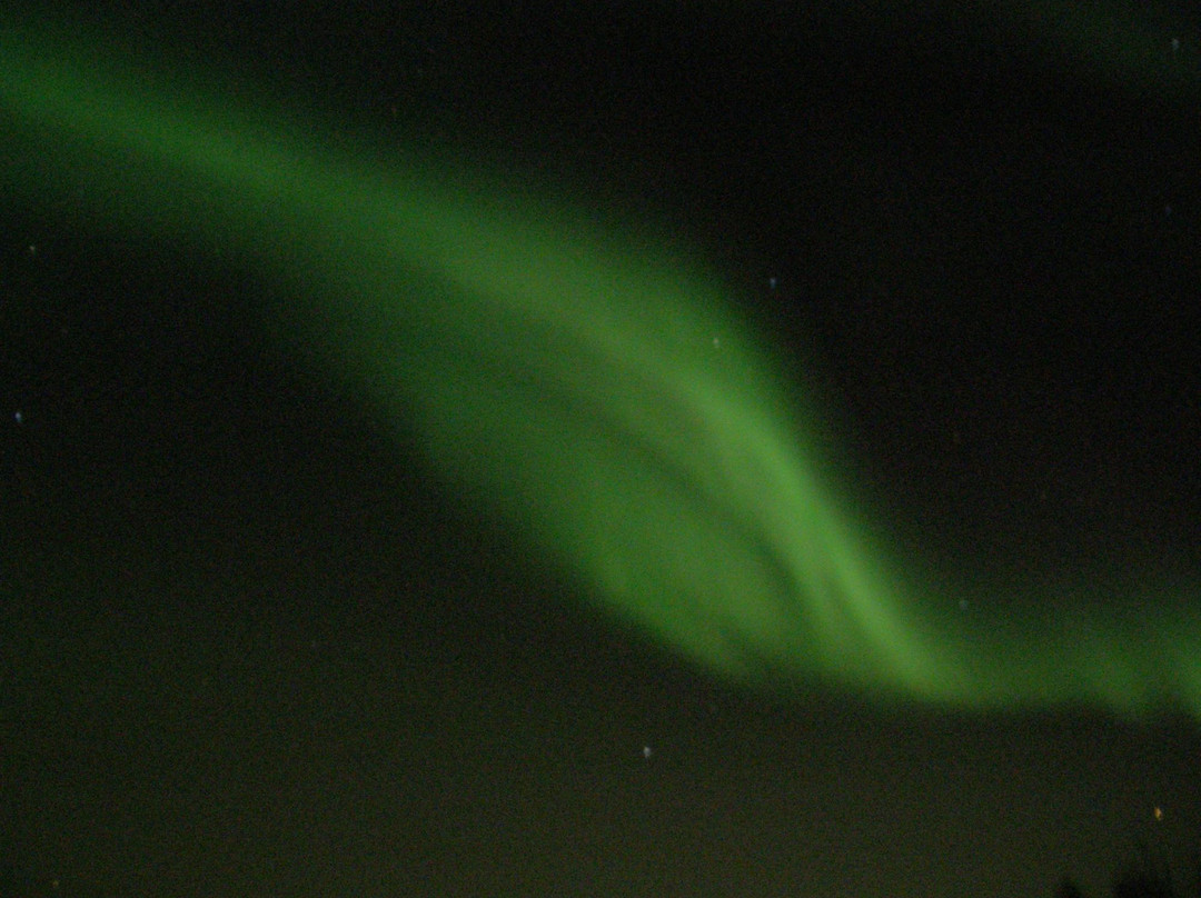 Moose on the Loose B & B主图